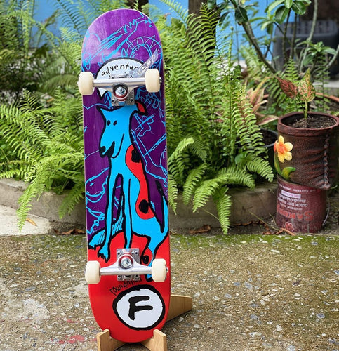 Foundation Adventure 2020 Complete Skateboard