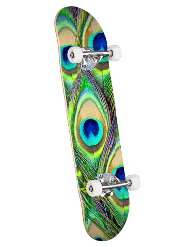 Mini logo complete skateboard with peacock feather