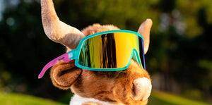 Goodr Sunglasses - Wrap G - Save a Bull, Ride a Rodeo Clown