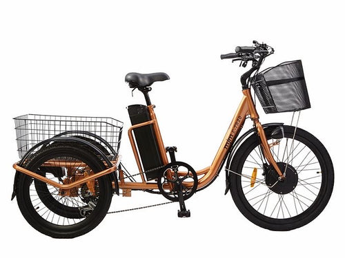 MJM Wheels - TR E-Bike Trike